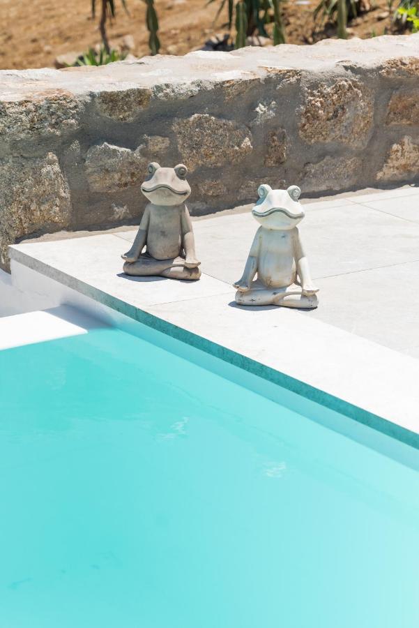Dioni Villa Mykonos Paraga  Exteriér fotografie